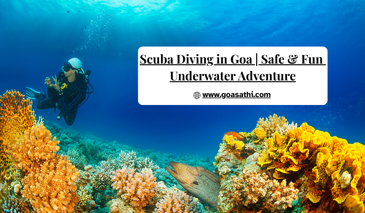 Scuba Diving in Goa | Safe & Fun Underwater Adventure