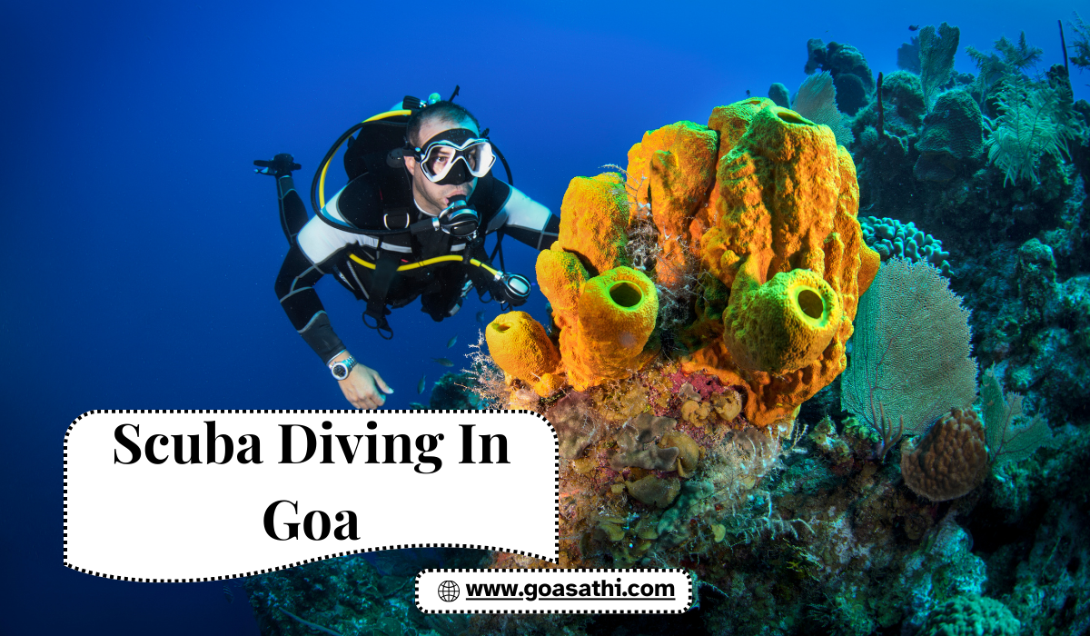 Scuba Diving in Goa with Goa Sathi – Safe & Affordable Fun