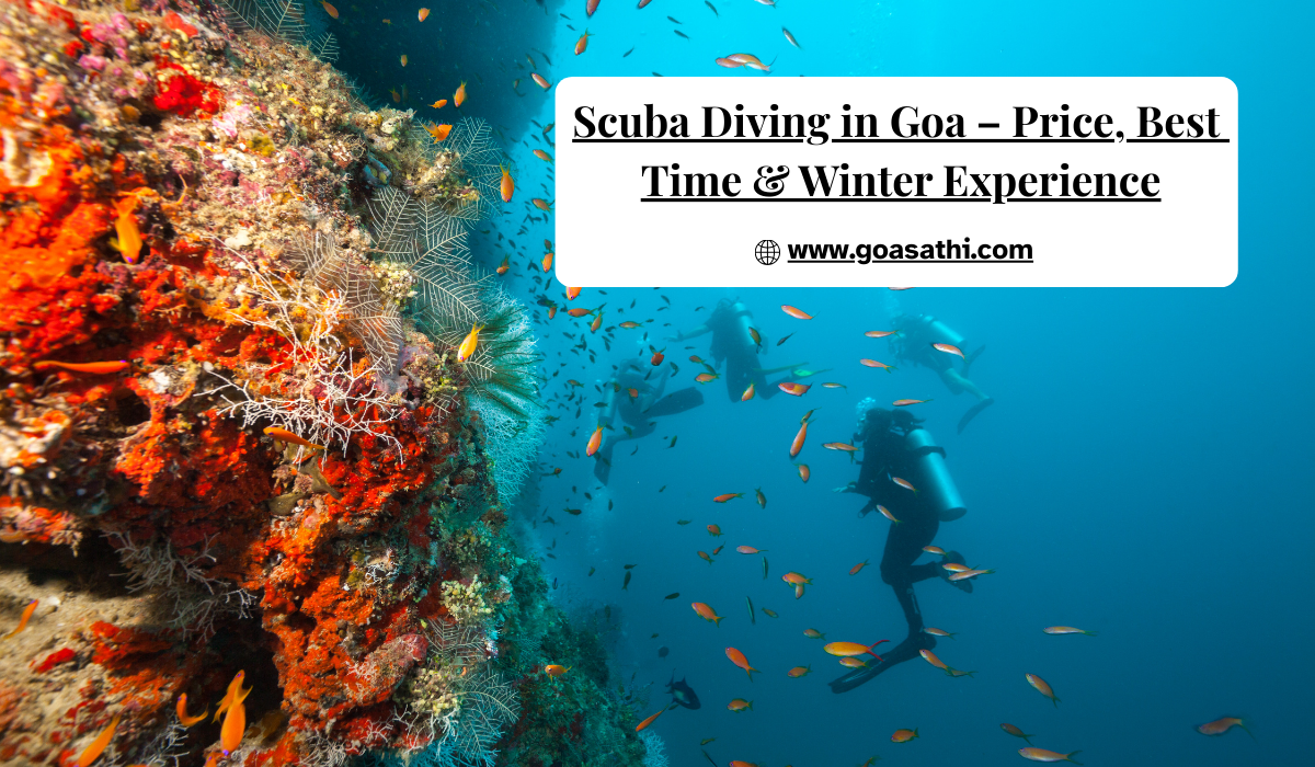 Scuba Diving in Goa – Price, Best Time & Winter Experience