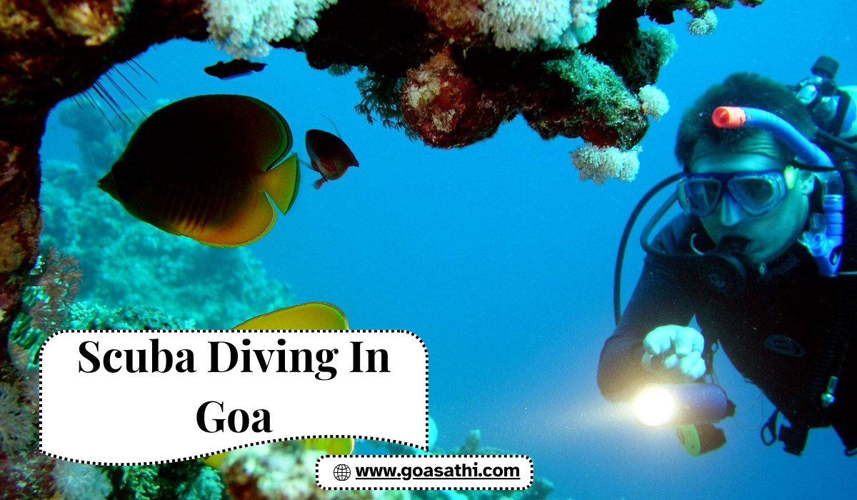 Winter Scuba Diving in Goa with Goa Sathi