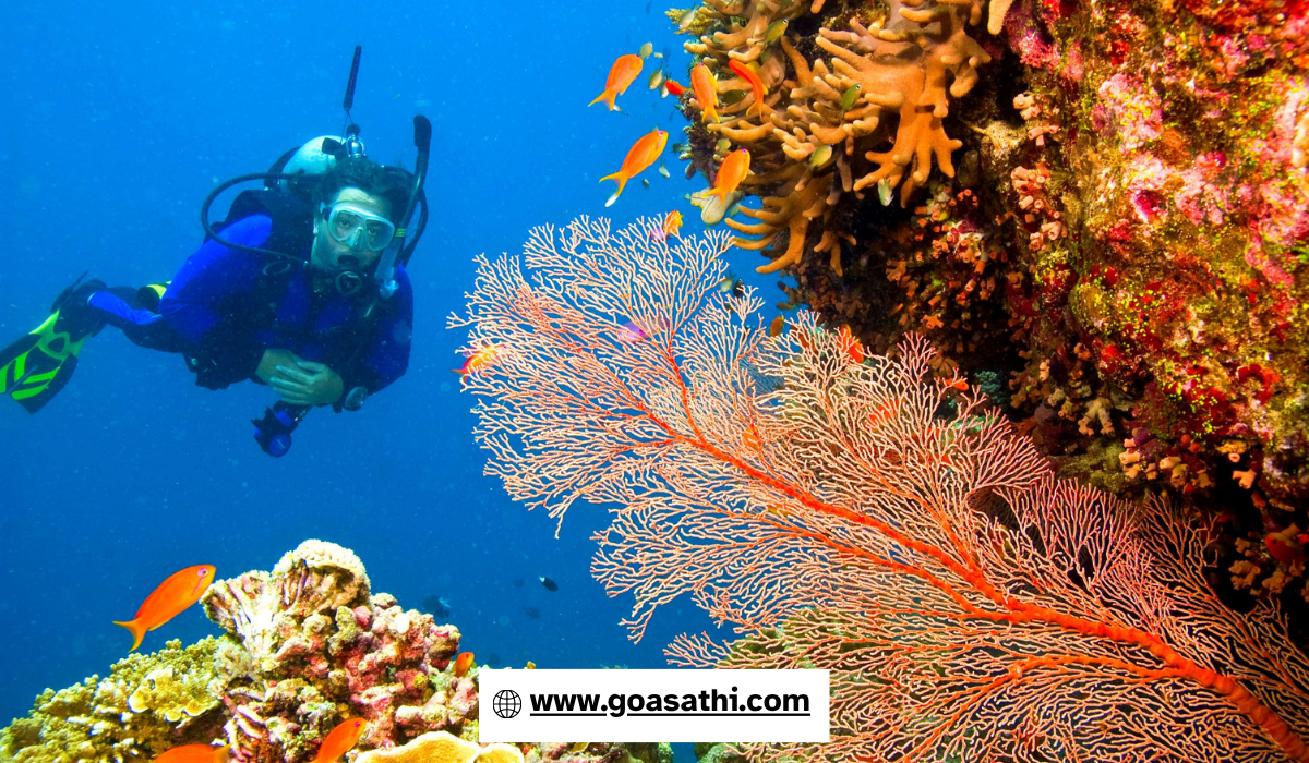 Scuba Diving in Goa – Dive into the Underwater Paradise with Goa Sathi