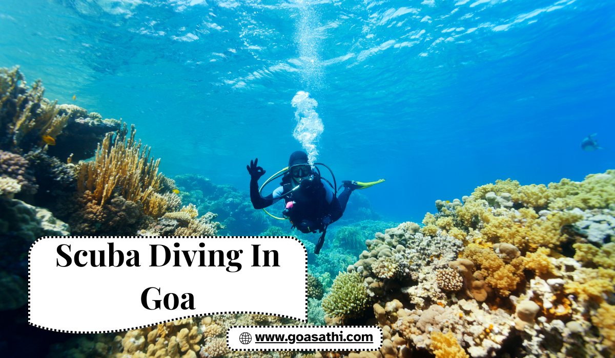Scuba Diving in Goa in Winter – The Best Time for Underwater Adventure