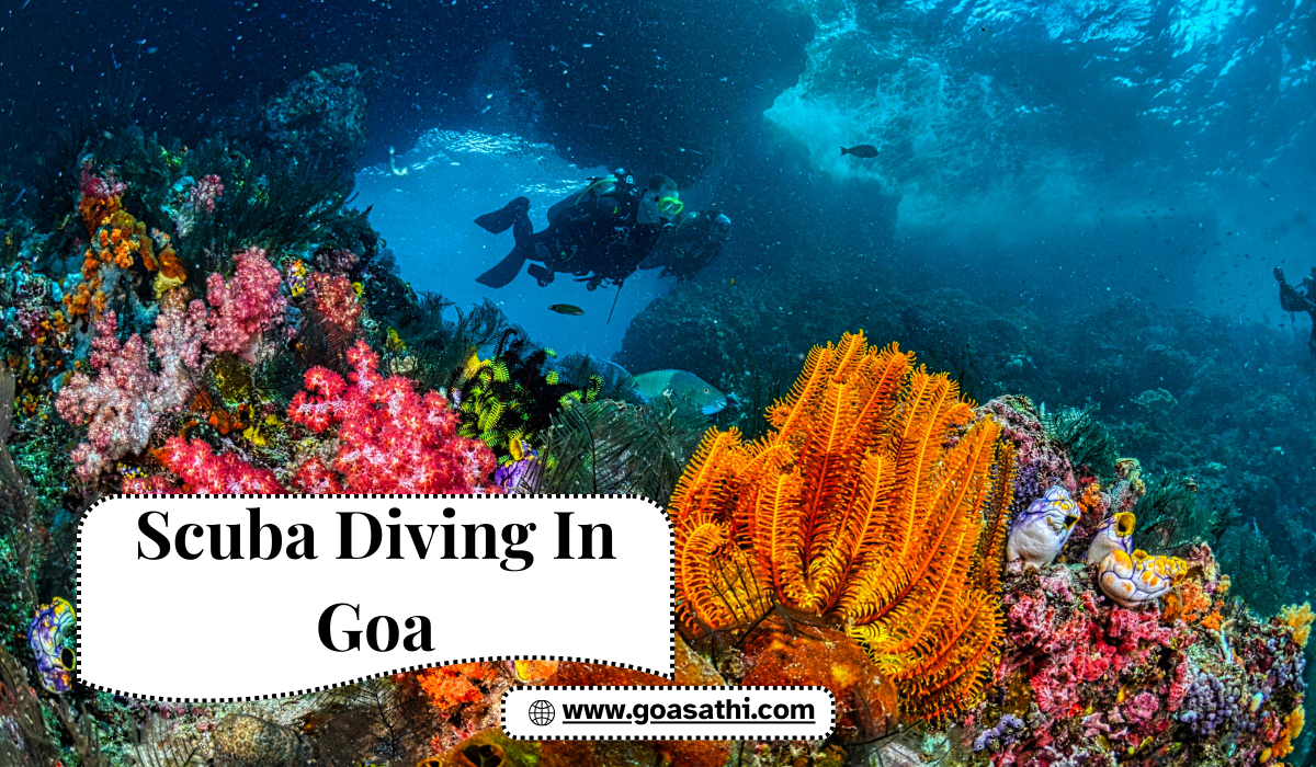 Scuba Diving in Goa with Goa Sathi – Best Underwater Adventure