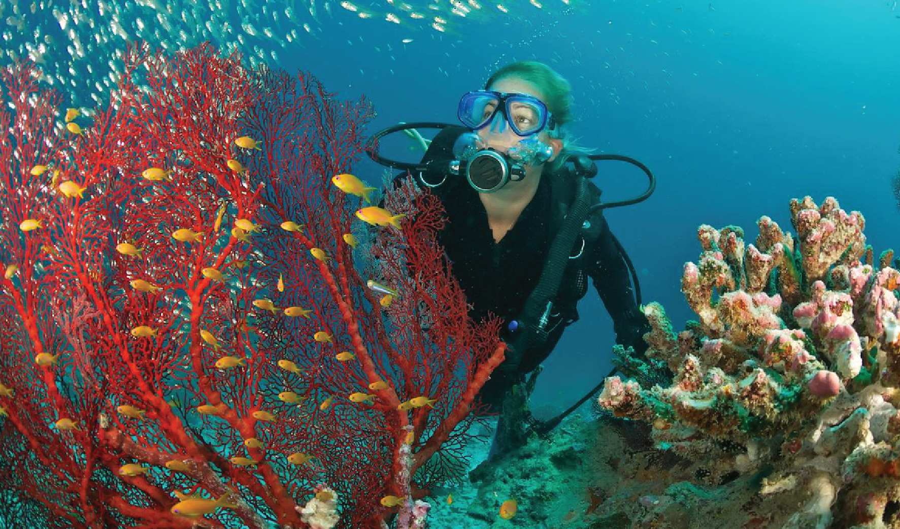 Grand Island Goa Tour With Scuba Diving combo package